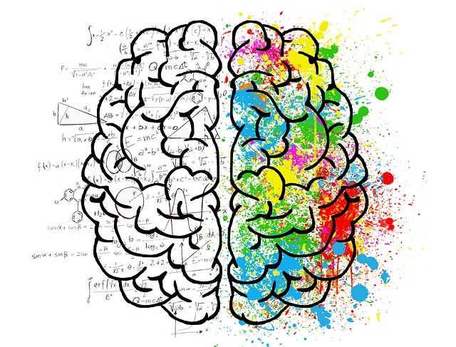 Left & Right Brain Hemispheres