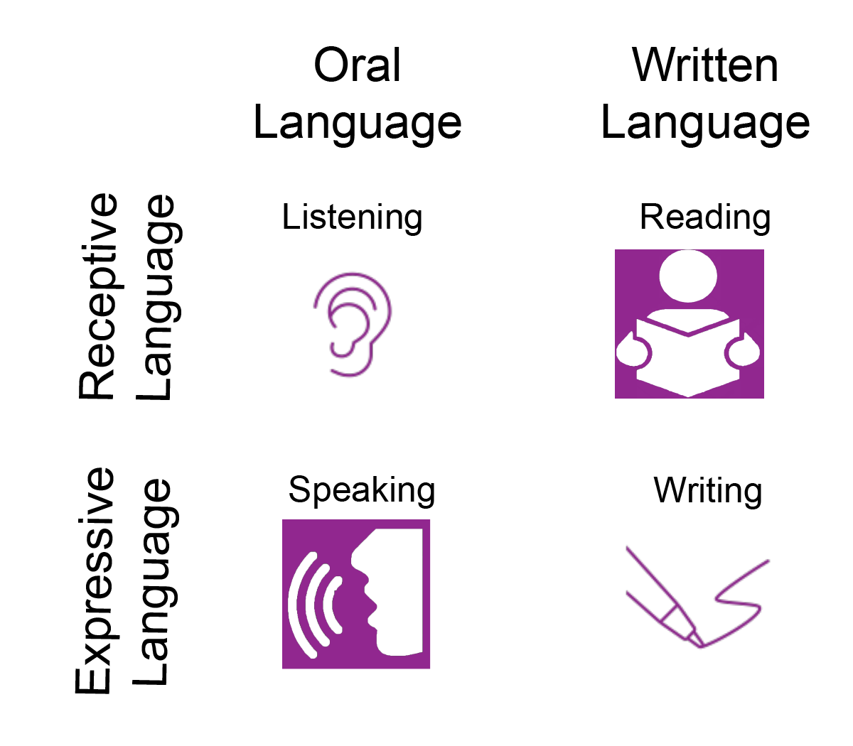 Graphic of Expressive and Receptive Language
