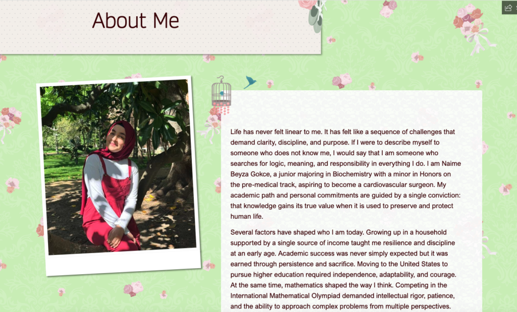 Scholarship recipient Naime Gokce's ePortfolio