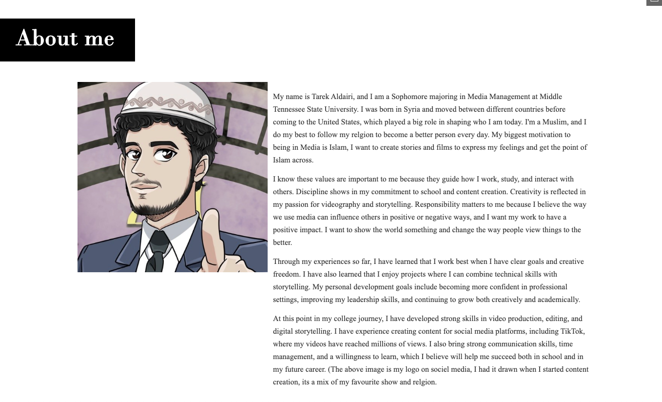 Scholarship recipient Tarek Aldairi's ePortfolio
