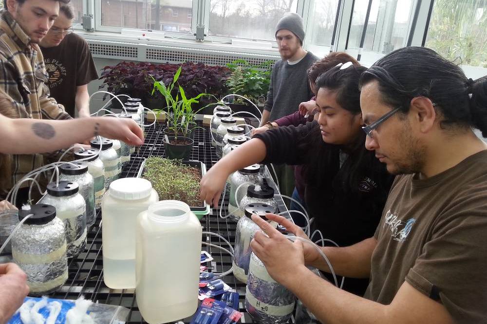 students working