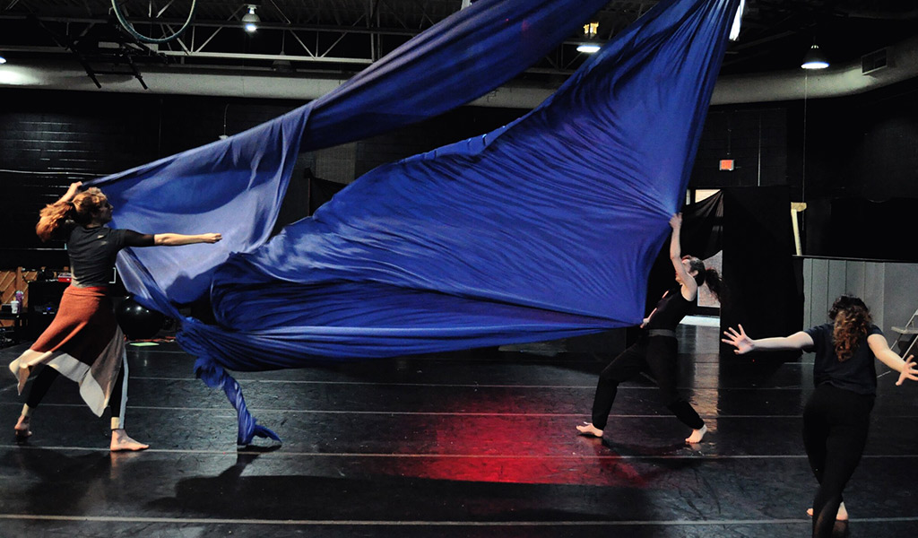 FALL Aerial Dance Group
