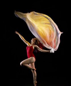 New-gsfta-photos-1