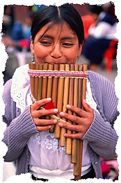Person playing instrument