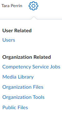 Menu in D2L with the Media Library entry highlighted