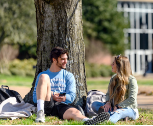 Students sitting by tree