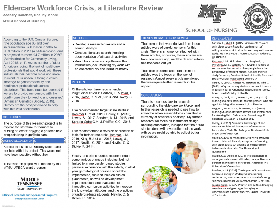 Eldercare Workforce Crisis, a Literature Review