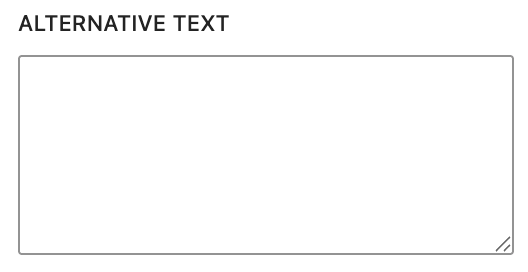 Screenshot of alternative text box on image block styles bar.