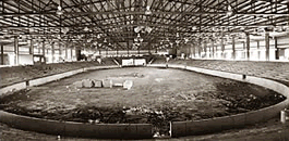 Arena during construction
