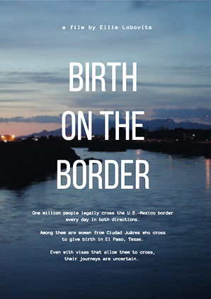 Birth on the border poster