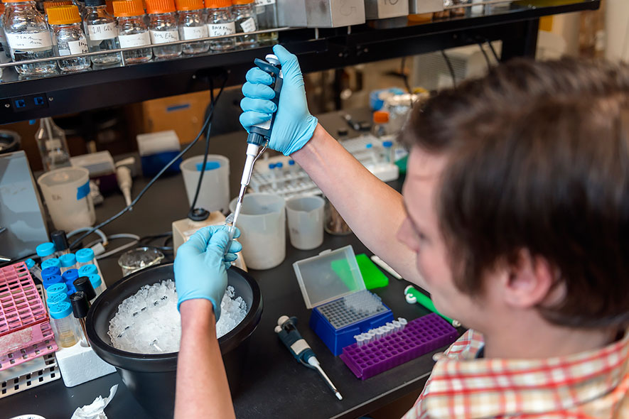 Ph.D. students enjoy numerous lab opportunities