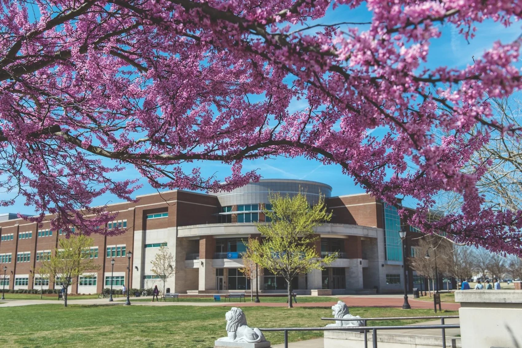 College of Education in the Spring
