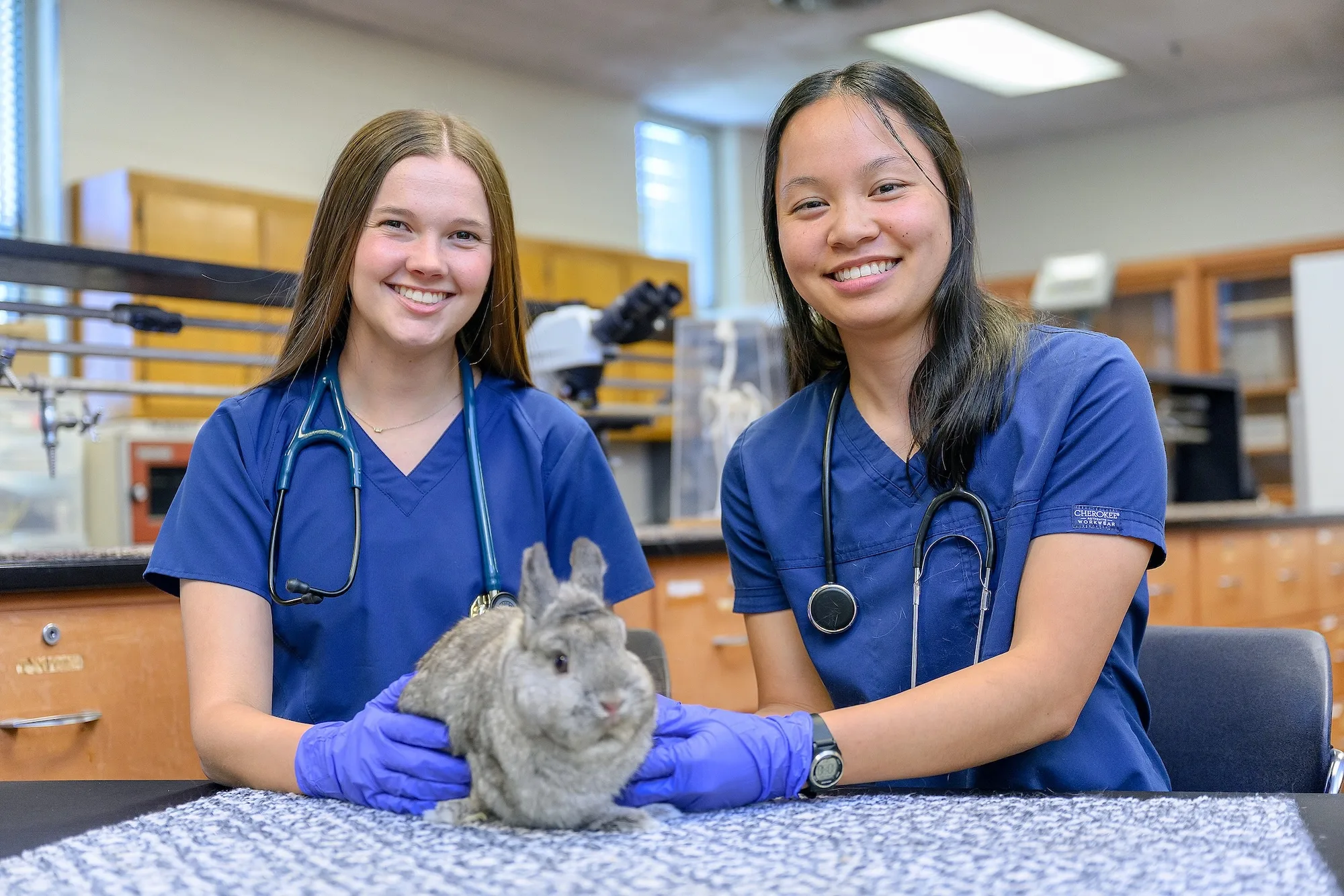Animal Science, Pre-Veterinary Medicine Concentration, B.S.