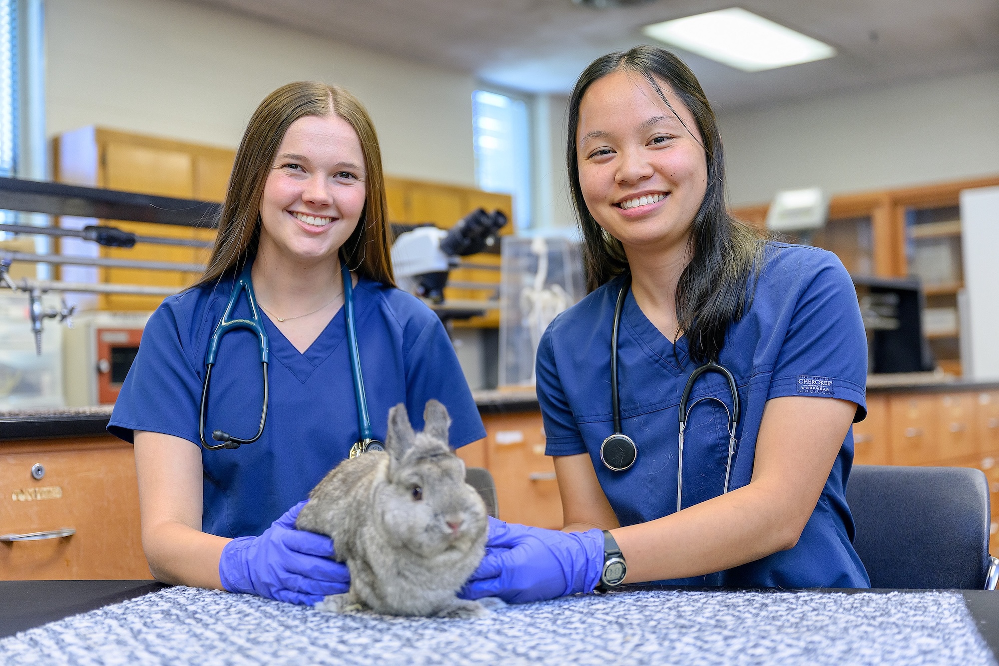 Two Animal Science Pre Veterinarian students in a lab with a bunny
