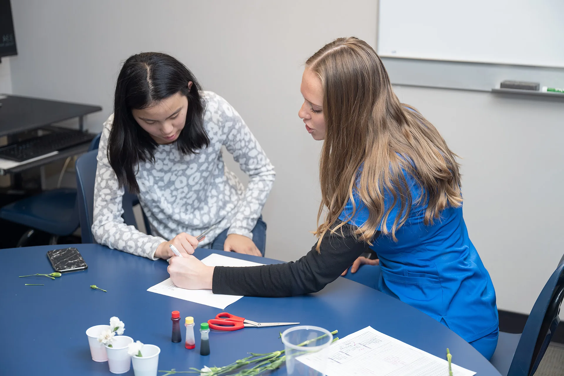 Speech-Language Pathology and Audiology, B.S.