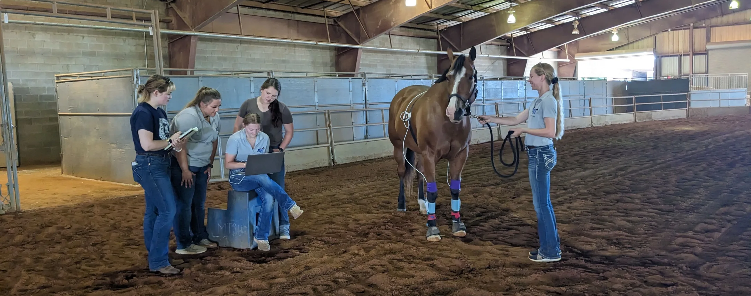 Horse Science, Equine Physiology Concentration, M.S.